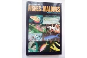Photo Guide To Fishes Of The Maldives book cover