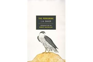 The Peregrine book cover