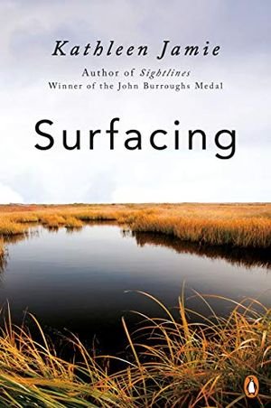Surfacing book cover