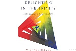 Delighting in the Trinity: An Introduction to the Christian Faith book cover