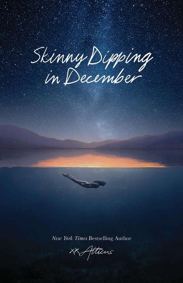 Skinny Dipping in December book cover