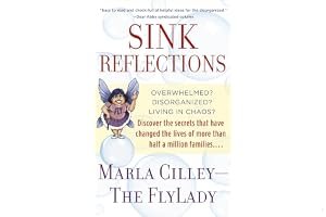 Sink Reflections book cover