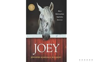 Joey: How a Blind Rescue Horse Helped Others Learn to See book cover