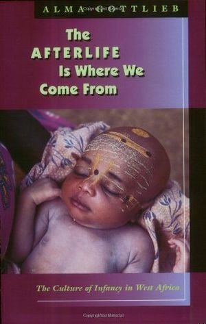 The Afterlife Is Where We Come From book cover