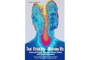 The Others Within Us: Internal Family Systems, Porous Mind, and Spirit Possession book cover