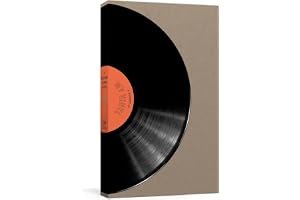 A Record of My Vinyl: A Collector's Catalog book cover