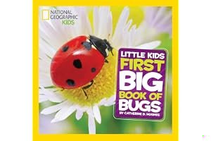 Little Kids First Big Book of Bugs (National Geographic Kids) book cover