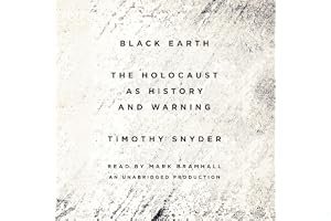 Black Earth: The Holocaust as History and Warning book cover