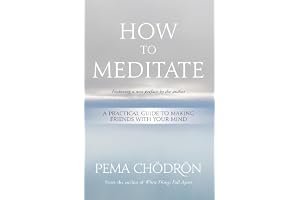 How to Meditate: A Practical Guide to Making Friends with Your Mind book cover