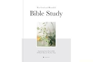 The Good and Beautiful Bible Study: Experiencing Stories From the Bible and What It Means for Our Lives Today book cover