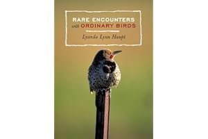 Rare Encounters with Ordinary Birds book cover