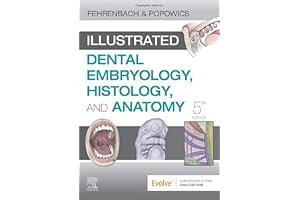 Student Workbook for Illustrated Dental Embryology, Histology and Anatomy book cover