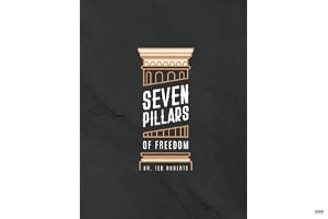 7 Pillars of Freedom Workbook book cover