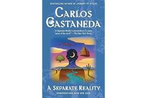 A Separate Reality book cover