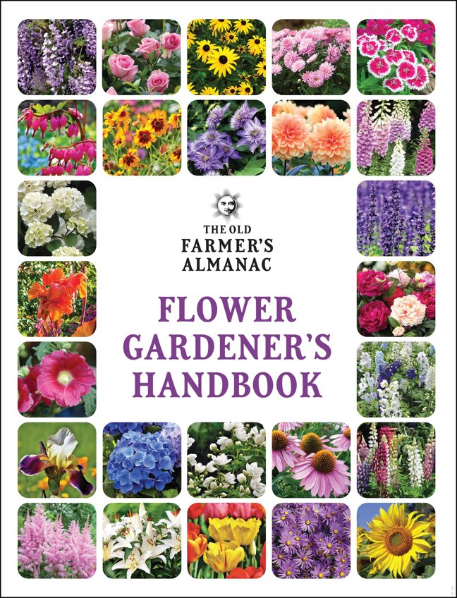 The Old Farmer's Almanac Flower Gardener's Handbook: Your Trusted Guide to Growing Stunning Blooms―From Planting to Cut-Bloom Preservation book cover
