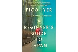 A Beginner's Guide to Japan: Observations and Provocations book cover