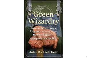 Green Wizardry: Conservation, Solar Power, Organic Gardening, and Other Hands-On Skills From the Appropriate Tech Toolkit book cover