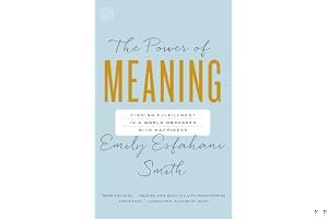 The Power of Meaning: Crafting a Life That Matters book cover