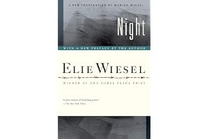 Night book cover