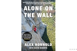 Alone on the Wall book cover