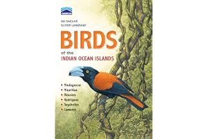 Birds of the Indian Ocean Islands: Madagascar, Mauritius, Reunion, Rodrigues, Seychelles and the Comoros book cover