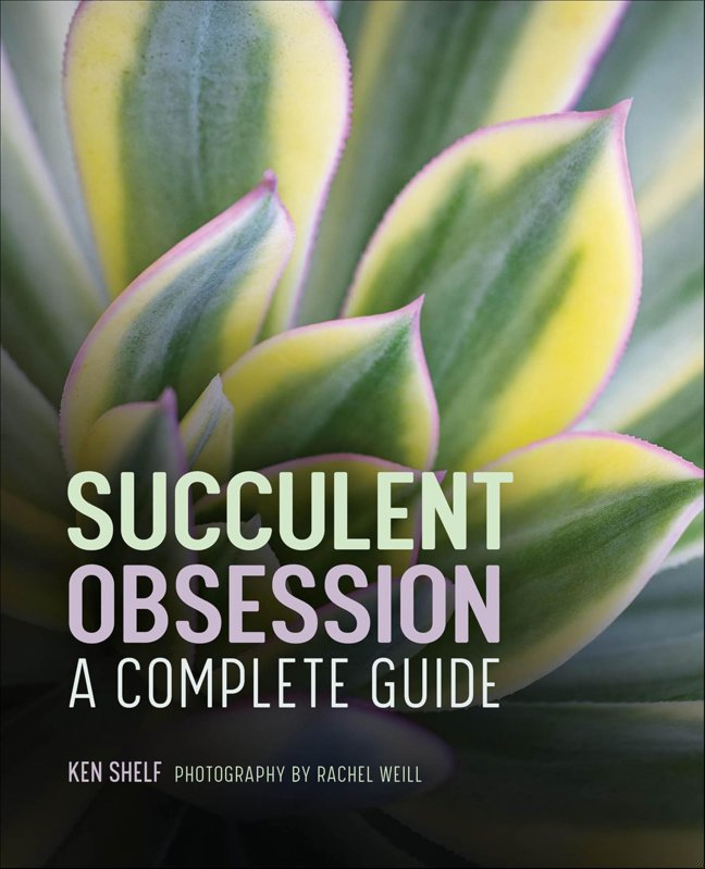 Succulent Obsession: A Complete Guide book cover
