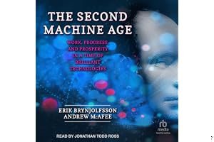 The Second Machine Age: Work, Progress, and Prosperity in a Time of Brilliant Technologies book cover