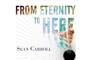 From Eternity to Here: The Quest for the Ultimate Theory of Time book cover