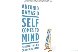 Self Comes to Mind: Constructing the Conscious Brain book cover