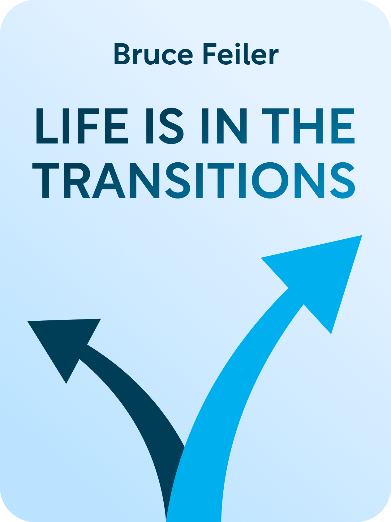 Life Is In The Transitions Book Summary By Bruce Feiler Life Is In The Transitions Book Summary By Bruce Feiler