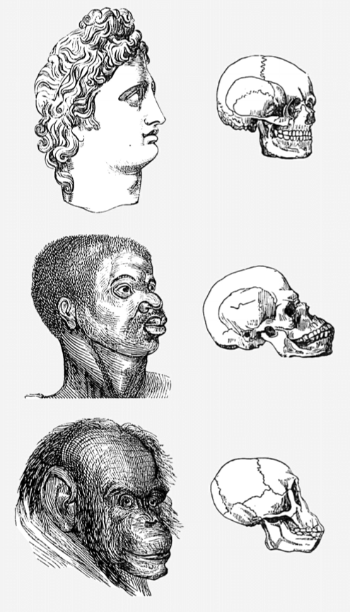 biased_3skulls.png